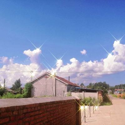 c游火影大战海贼bt版下载