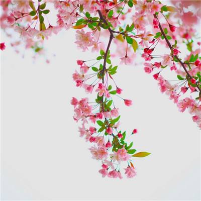 咸鱼夫妻要上天手游下载